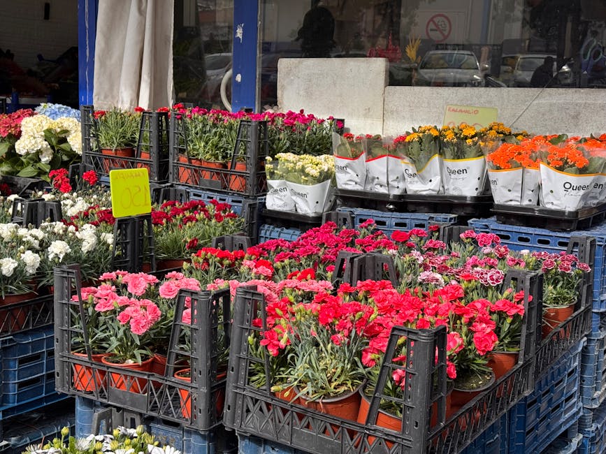 A selection of potted flowering plants displayed outdoors at a flower market, featuring pink, red, white, yellow, and orange blooms. The flowers include varieties such as carnations, with vibrant peta